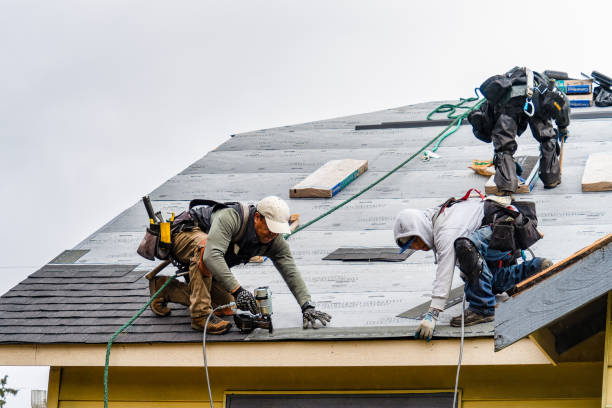 Professional Roof Replacement technician working in Harper, WV
